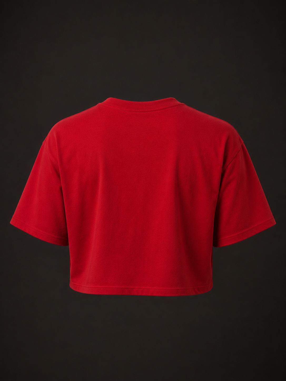 RAMily Oversize Crop Top Tee