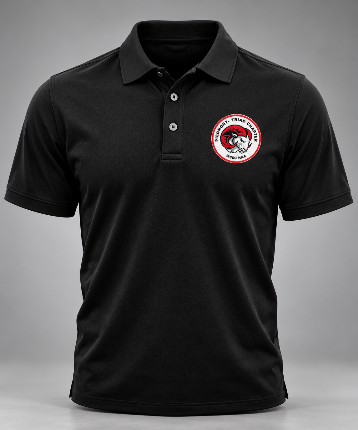 WSSU NAA | Piedmont-Triad Chapter Collection
