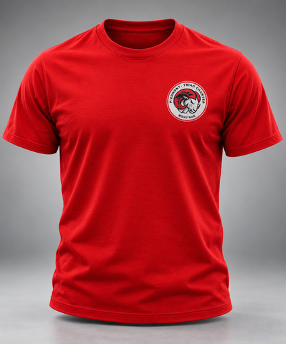 WSSU NAA | Piedmont-Triad Chapter Collection